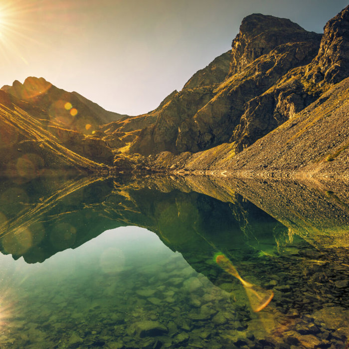 Sustainable and water efficient tailings solutions to help our planet