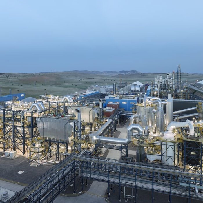 Mazidagi plant view