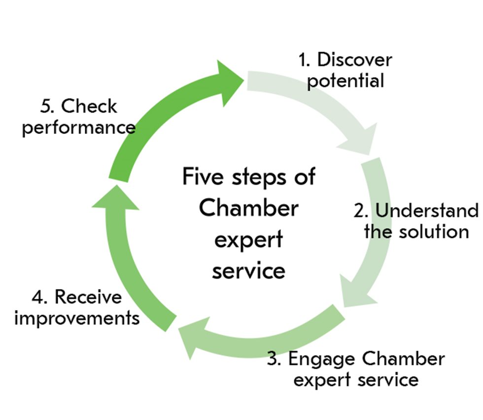 Five steps of the Chamber expert service