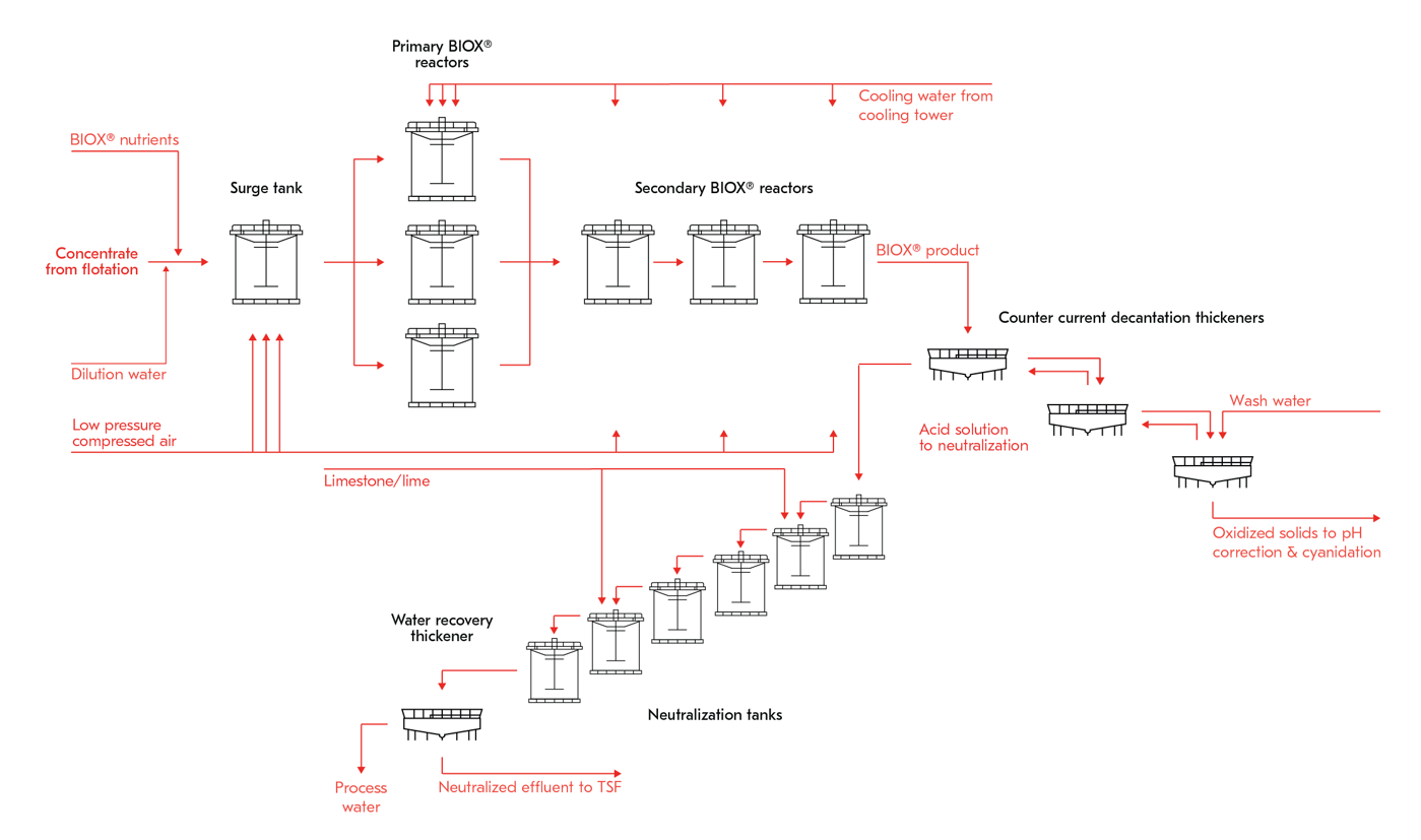 BIOX process flowsheet