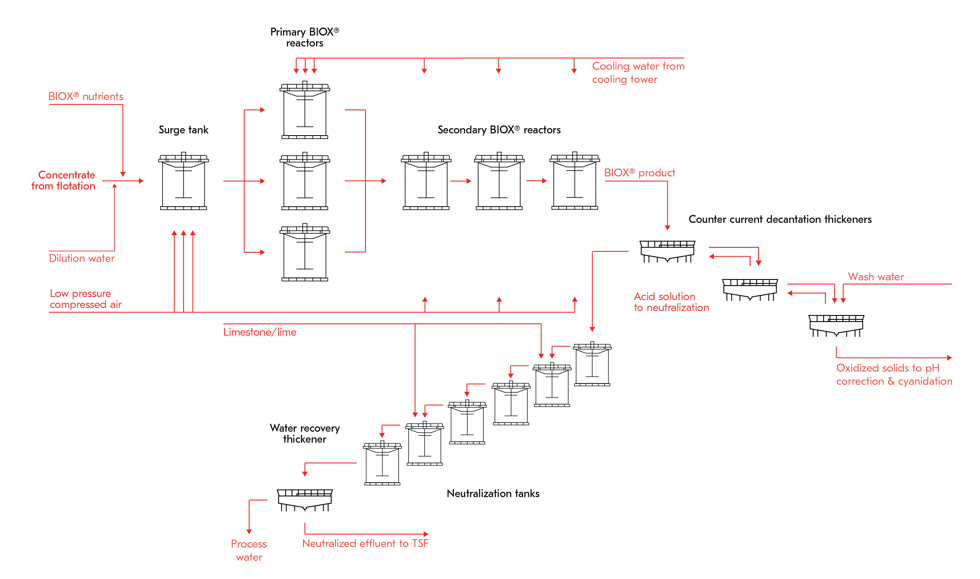 BIOX process flowsheet