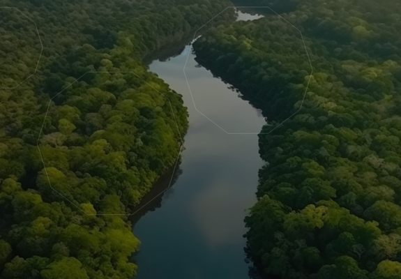 Sustentabilidade