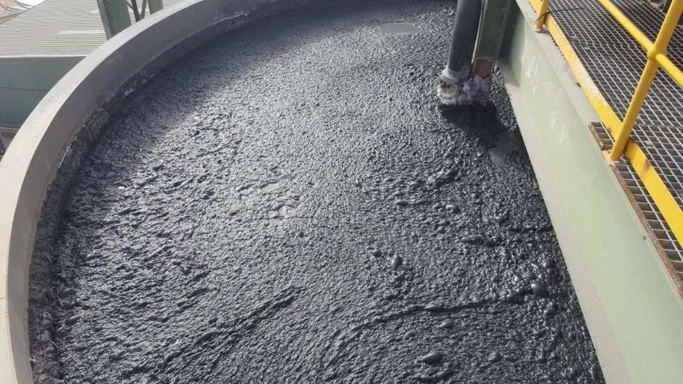 Before - Thickener for free milling campaign.