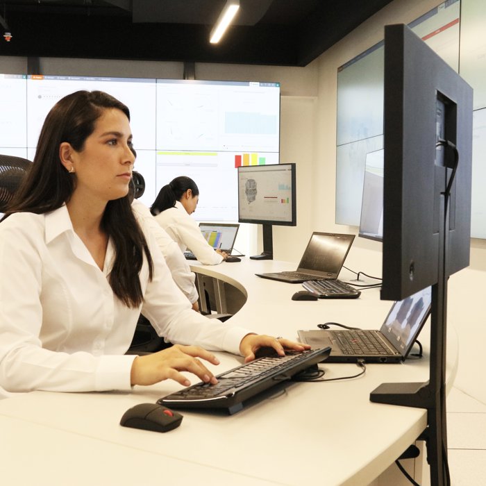 Servicios Remotos