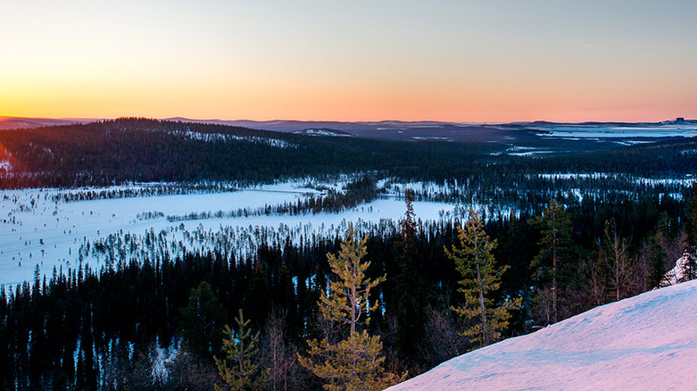 Arctic scenery 