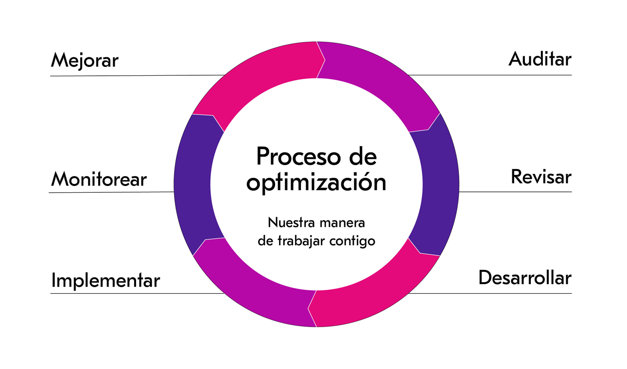Proceso de optimización