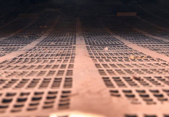 Screen and vibrating feeder inspections