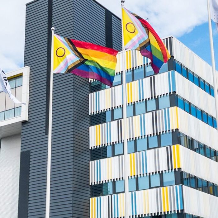 Metso celebrates Pride month