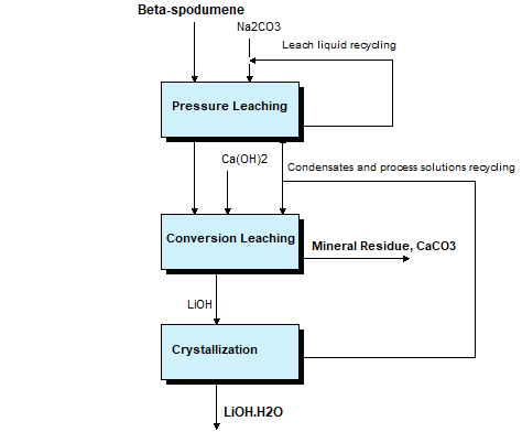Direct Leach Process 