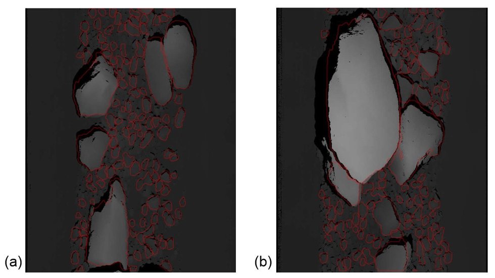 Segmentation results