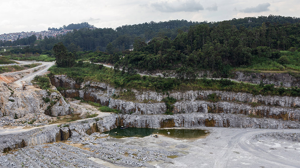 The edge of the quarry and forest behind. 