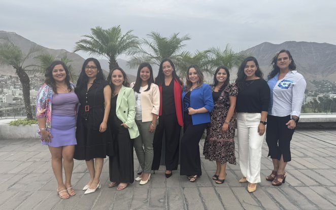 Colegas de Metso en Lima