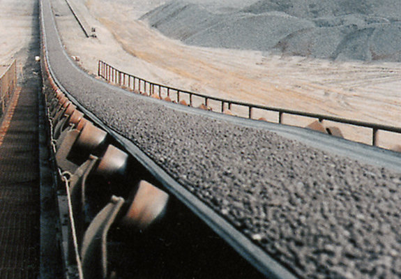 Steel cord conveyor belts