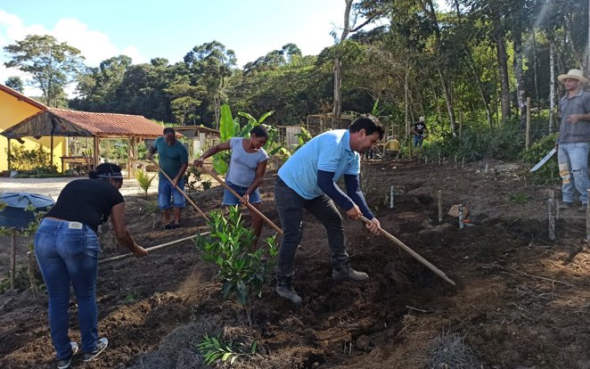 Curso de agrofloresta